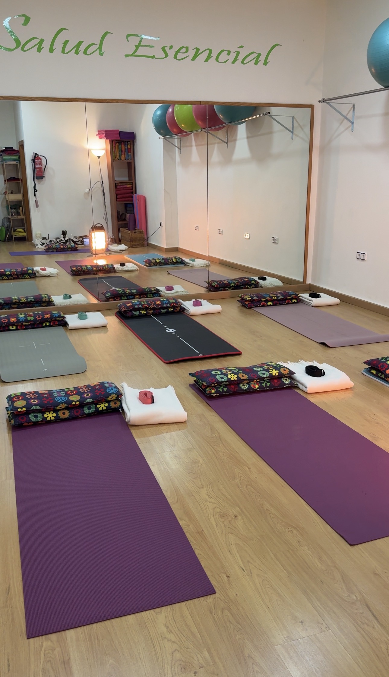 ES Equilibri i Salut | Clases de Yoga | Acupuntura y Medicina Tradicional China, centros de yoga en Burriana